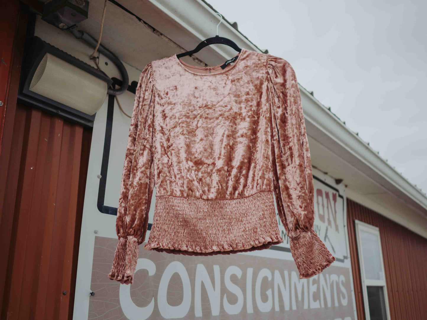 Blush Velvet Smocked Top – Elegant and Trendy | QB Customs